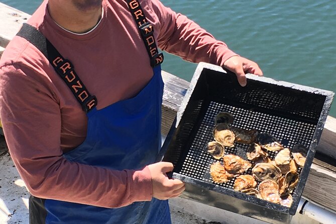 Southold Bay Oyster Farm Tour - Hatchery Spawning to Grow-Out: The Oyster Life Cycle, Step by Step