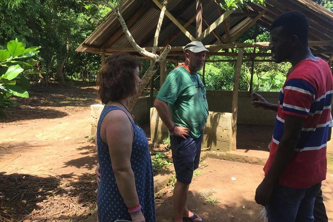 Spice Farm and Jozani Forest Private Tour - From Your Hotel to Fragrant Spices: How This Day Flows