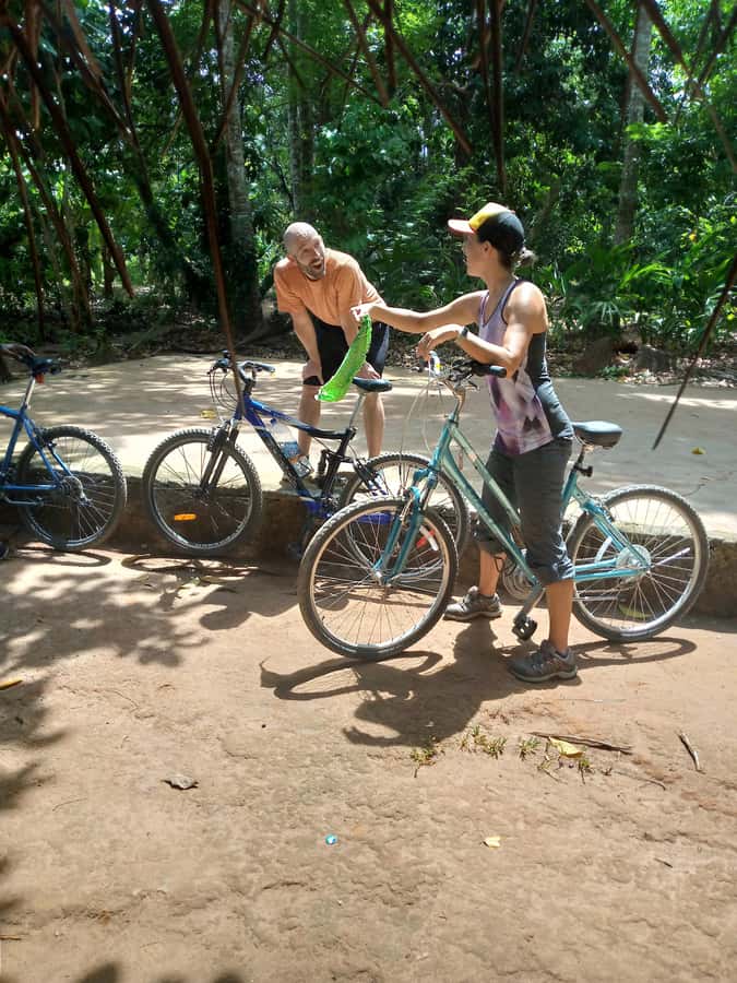 Spice Farm Bike Tour: Pedal Through Aromatic Adventures - The spice farm stop: where tasting becomes a lesson