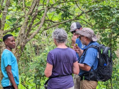 Spice Farm Bike Tour: Pedal Through Aromatic Adventures - The 6-hour flow: pickup, ride time, farm walk, and the forest backtrack