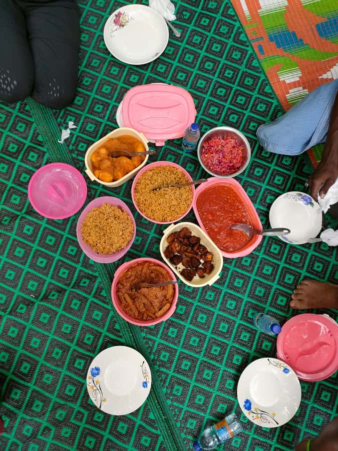 Spice Farm Bike Tour: Pedal Through Aromatic Adventures - Masingini Forest return and red colobus monkey odds