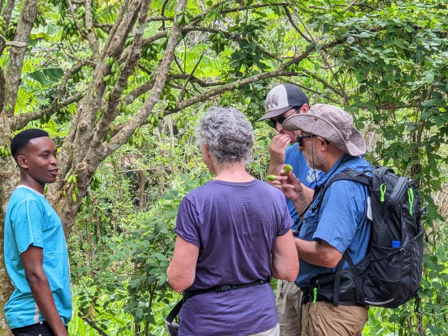Spice Farm Bike Tour: Pedal Through Aromatic Adventures - The 6-hour flow: pickup, ride time, farm walk, and the forest backtrack