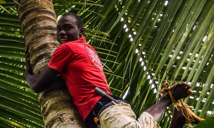 Spice Farm - spice up your life in Zanzibar - Zanzibar’s Spice Farm: What You’re Really Buying With the $60