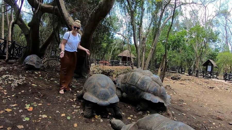 Spice farm,Stone town and Jozani forest tour with lunch - Tips are handled on the farm, but bring cash for the spice stall