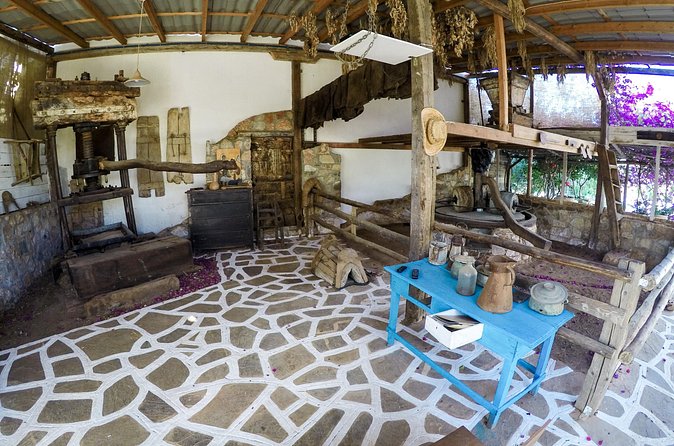 Spiridi Olive Oil Farm Tour - Shop time: what to buy and how to shop smart