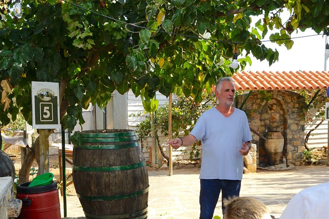 Spiridi Olive Oil Farm Tour - Getting to the farm and timing your visit