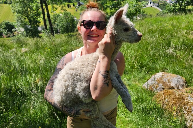 Steim Farm Experience in Vik, Norway - Timing, pace, and weather: how the day feels