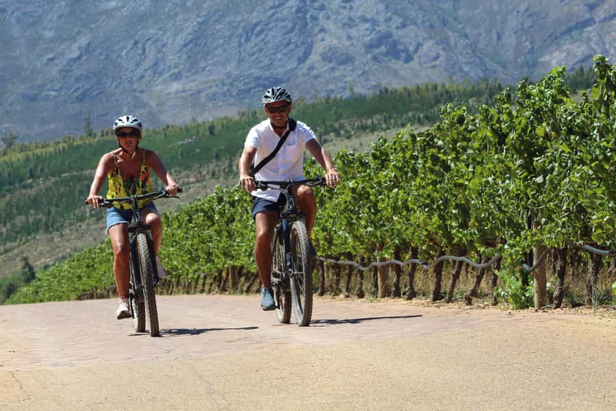 Stellenbosch: Wine Farm E-Bike Guided Tour - Key things you’ll notice right away