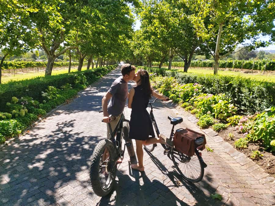 Stellenbosch: Wine Farm E-Bike Guided Tour - Meet Your E-bike on Lanzerac: Helmets, Seat Setup, and First Minutes