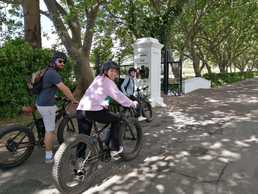 Stellenbosch: Wine Farm E-Bike Guided Tour - Riding Rhythm and Timing: How the Stops Shape the Whole Morning