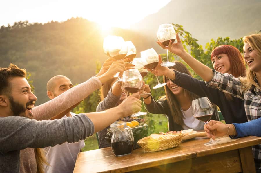 Stellenbosch: Wine Farm E-Bike Guided Tour - The Guide Makes It Work: Renaldo’s Help and Traffic Confidence