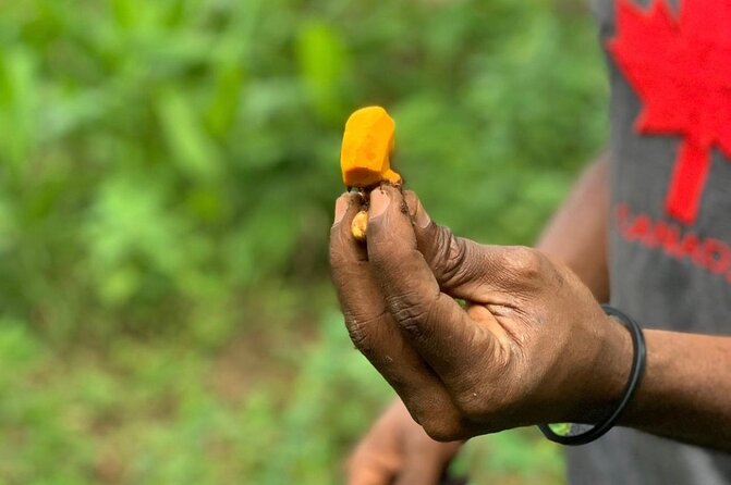 STONE TOWN and SPICE FARM TOUR ( Lunch Included ) - Shops and souvenirs: why the extra time matters