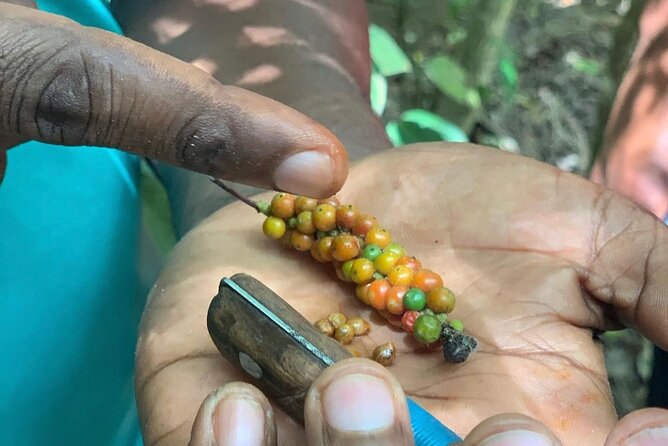 STONE TOWN and SPICE FARM TOUR ( Lunch Included ) - Price and value: what you’re really paying for
