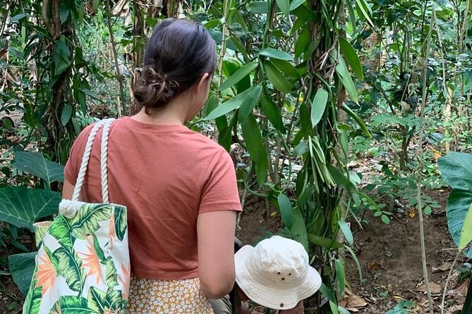 STONE TOWN, PRISON ISLAND AND SPICE FARM ( Lunch included ) - Jambo Spice Farm (and what to expect from the spice experience)