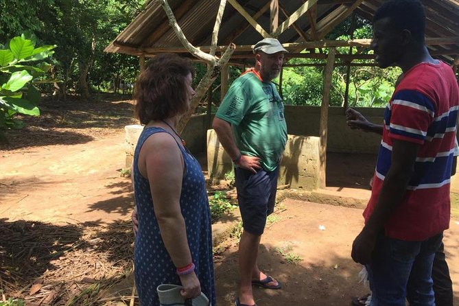 Stone Town, Spice Farm and Jozani Forest Private Tour - Jozani Chwaka Bay National Park: Red Colobus, Sykes Monkeys, and Mangroves