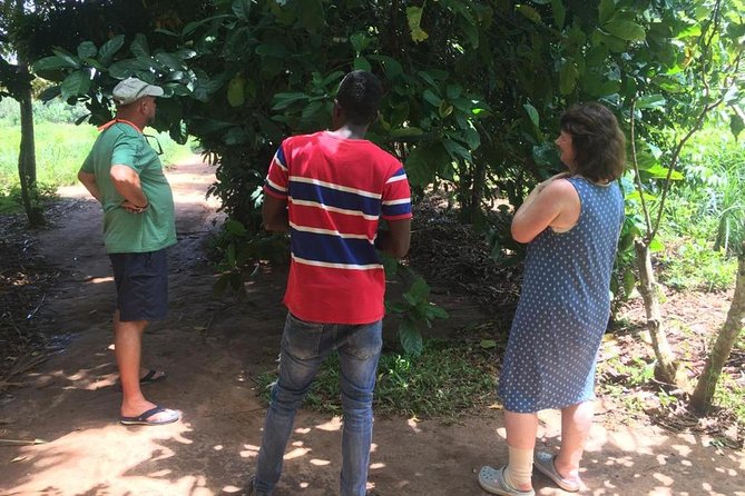 Stone Town, Spice Farm and Jozani Forest Private Tour - Price and What’s Actually Included for $89.99