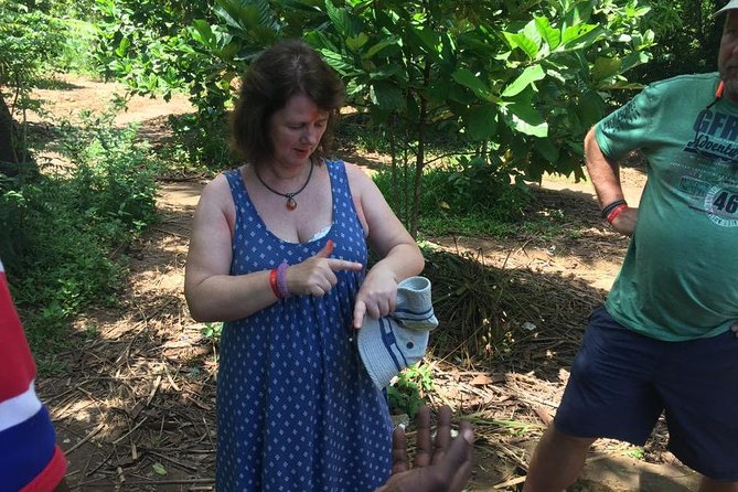 Stone Town, Spice Farm and Jozani Forest Private Tour - Logistics: Pickup, Time on the Road, and Weather Adjustments