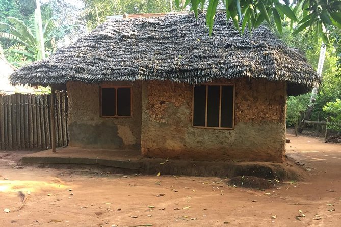Stone Town, Spice Farm and Jozani Forest Private Tour - Who Should Book This Tour (and Who Might Skip It)