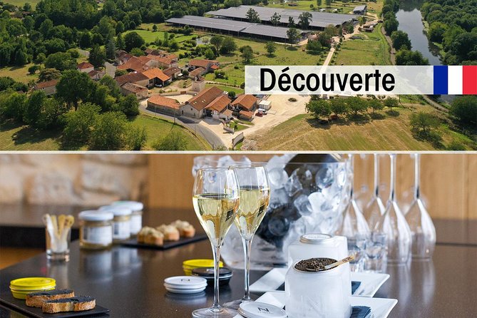 Sturgeon Fish-Farm Visit and Caviar Discovery Tasting in Neuvic - Key moments worth knowing before you go
