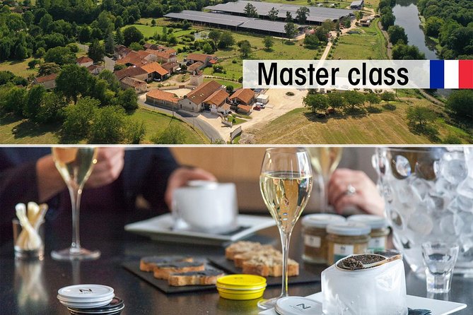 Sturgeon Fish-Farm Visit and Caviar Master Class Tasting in Neuvic - Key points worth knowing before you go