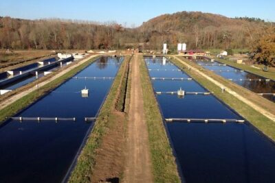 Sturgeon Fish-Farm Visit and Caviar Master Class Tasting in Neuvic - The fish-farm visit: sturgeon, caviar production, and the visitor pool moment
