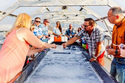 Sunset Kona Salt Farm Tour - How deep-ocean water becomes Hawaiian salt
