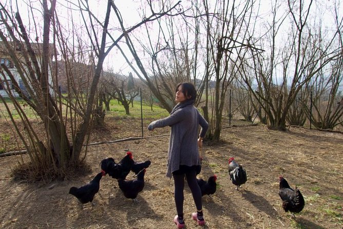 Sustainable Farm Tour & Northern Italian Cooking Class in Asti - Who Should Book This, and Who Might Want Another Option