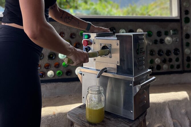 Taste of Hawaii: A Maui Farm Tour - Timing, meeting point, and what your 90 minutes looks like