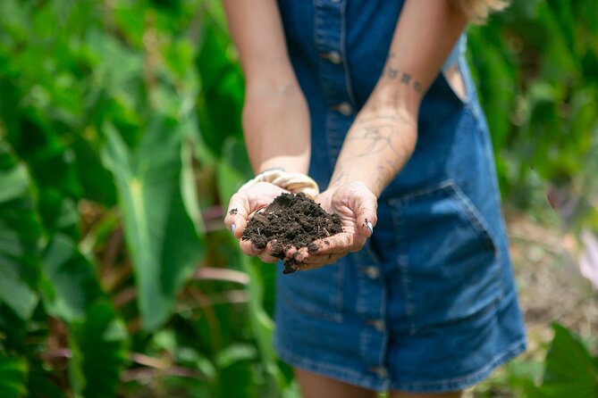 Taste of Hawaii: A Maui Farm Tour - Fruit tastings: what you should expect to eat
