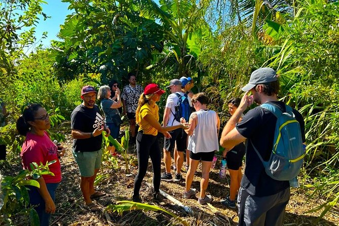 Taste of Hawaii: A Maui Farm Tour - Banana ice cream and dessert: how they close the loop