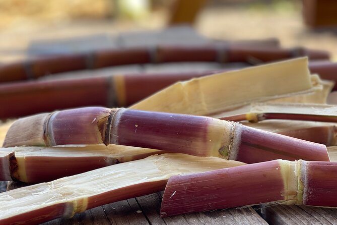Taste of Hawaii: A Maui Farm Tour - The farm stop itself: plants, pigs, and big Maui views
