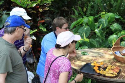 Taste of Jamaica Farm & Food Tour - Meet Elizabeth and Lascelles, Then Step Into the Herbal Garden