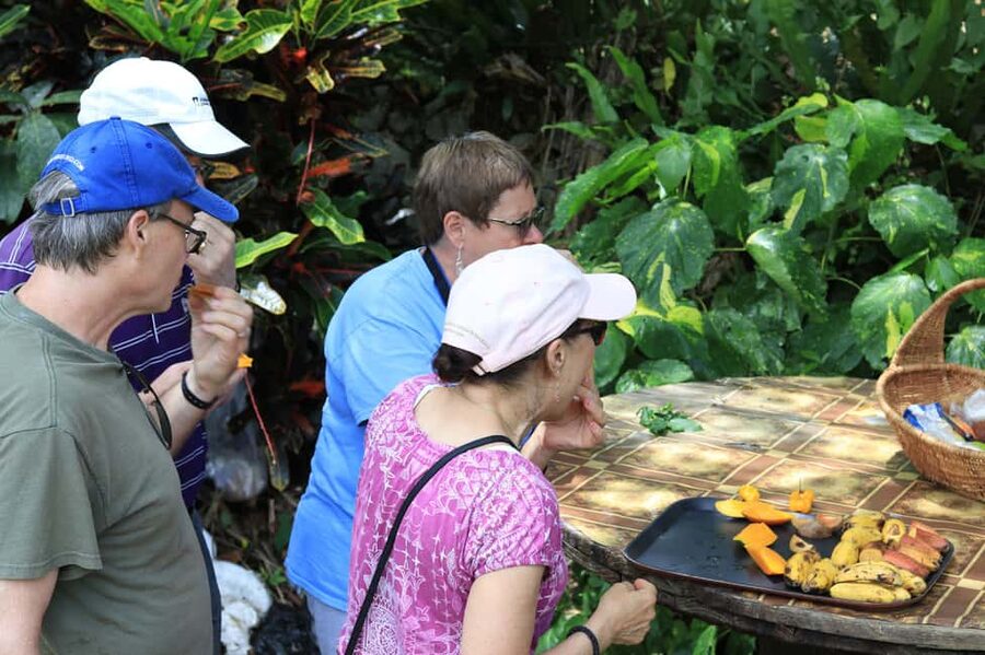 Taste of Jamaica Farm & Food Tour - Meet Elizabeth and Lascelles, Then Step Into the Herbal Garden