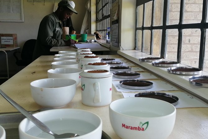 Tea Farm Experience at Riara Tea Farm And Factory Tour - Should you book Riara Tea Farm and Factory Tour?