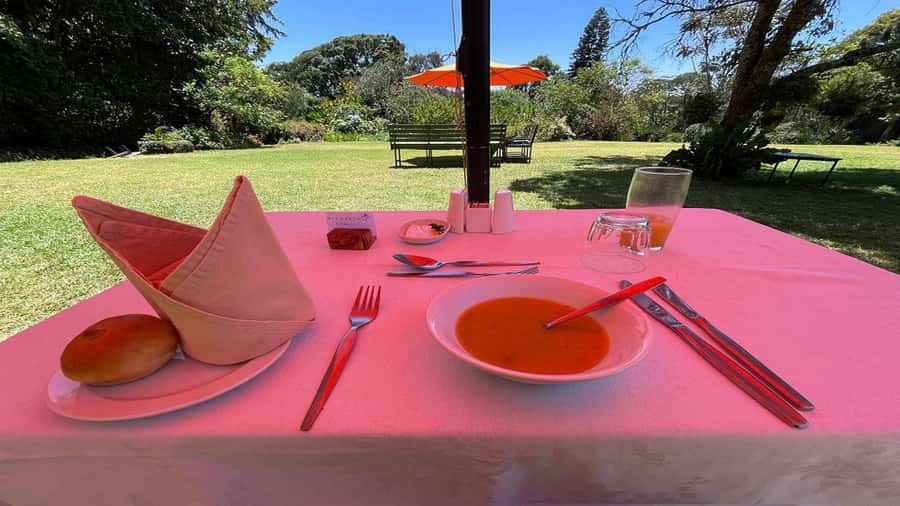 Tea Farm Tour From Nairobi (Kiambethu). - Tea farm viewing and the hands-on moments