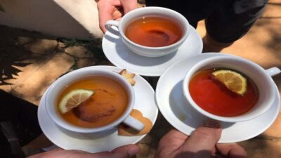 Tea Farm Tour From Nairobi (Kiambethu). - Meeting Fiona at 11am: tea, farm stories, and the tea-making process