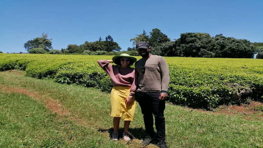 Tea Farm Tour From Nairobi (Kiambethu). - Price and logistics: how the $50 plus admission adds up