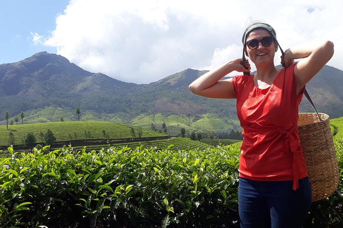 Tea Farm Tourism - Quick Hits You’ll Actually Use