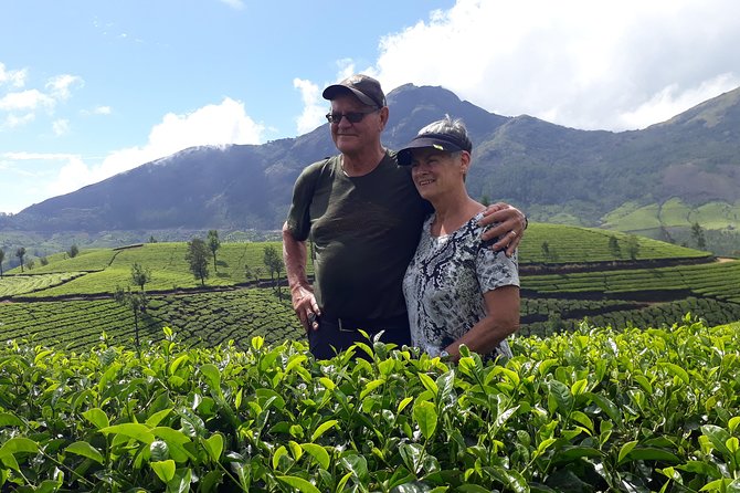 Tea Farm Tourism - Heading into the Western Ghats Around 5,000 Feet