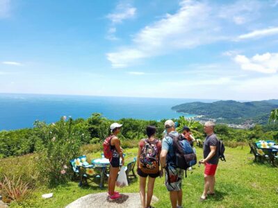 Temple and Jungle Trekking tour with Lunch at Farm-to-Table - Jungle hike to Big Buddha Hill: steep, scenic, and wildlife-aware