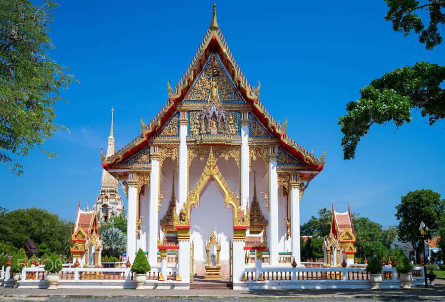 Temple and Jungle Trekking tour with Lunch at Farm-to-Table - Wat Luang Phu Supha: merit offerings and monk chanting