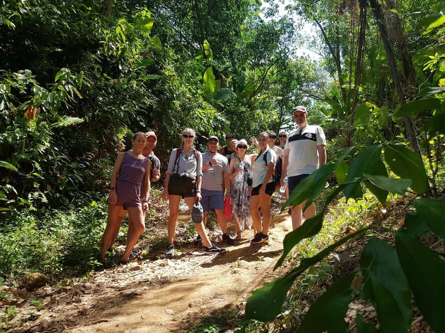 Temple and Jungle Trekking tour with Lunch at Farm-to-Table - Wat Chalong: Phuket’s most revered temple stop