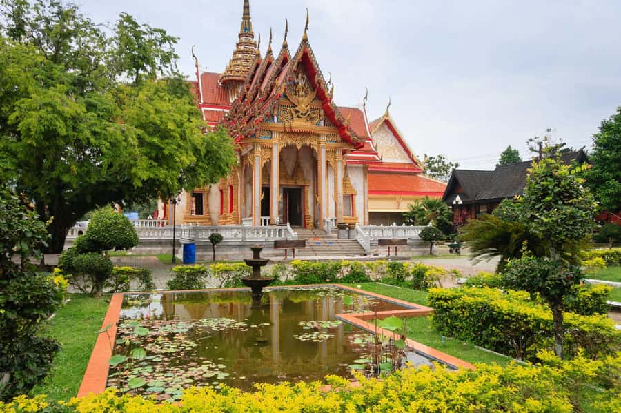 Temple and Jungle Trekking tour with Lunch at Farm-to-Table - Practical tips before you go