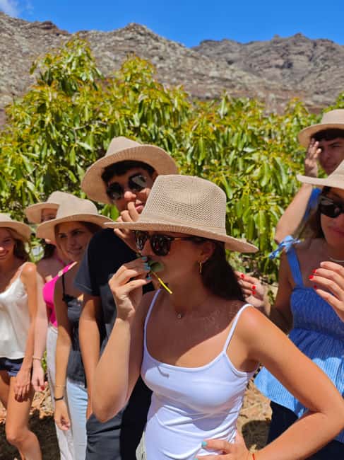 Tenerife: Avocado Farm Tour with Tasting Menu & Wine - Key things to know before you go