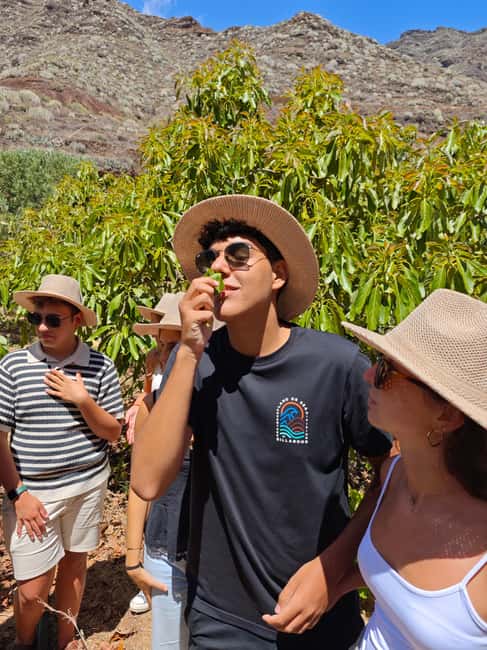 Tenerife: Avocado Farm Tour with Tasting Menu & Wine - Tahodio Valley: a short hop from Santa Cruz into working farmland