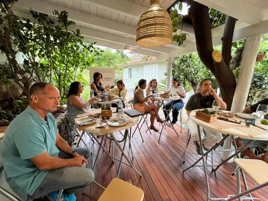 Tenerife: Avocado Farm Tour with Tasting Menu & Wine - What to bring: the orchard walk is the schedule driver