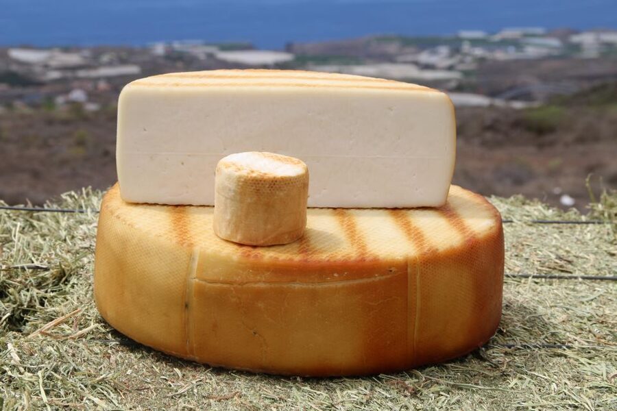 Tenerife - Farm Tour with Cheese Tasting - The Outdoor Interlude: Photo Stop, Views, and Farm Air