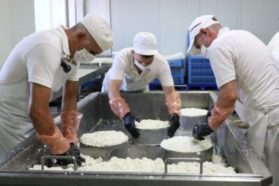 Tenerife - Farm Tour with Cheese Tasting - Inside The Cheese Factory: Seeing Handmade Craft, Not Just Results