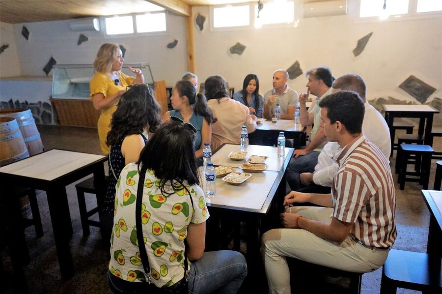 Tenerife - Farm Tour with Cheese Tasting - Who This Tour Suits Best (And Who Might Want Something Else)