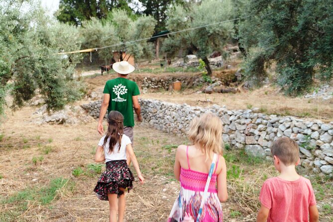 The Olive Oil Experience @ Lefkada Micro Farm - The Olive Oil ABC you can actually use next week